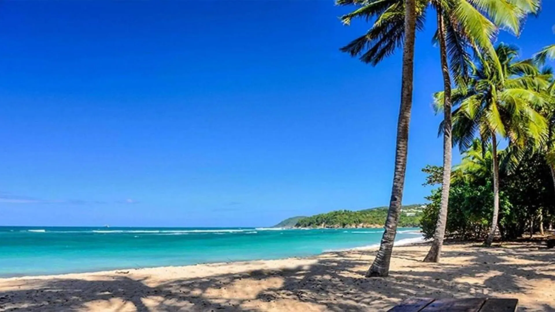 2 Bungalows Avec Piscine Sainte-Marie Martinique